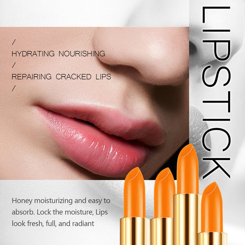 Moisturizing Transparent Color Lipstick