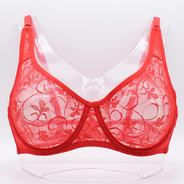 Plus Size Lace Bras Underwired